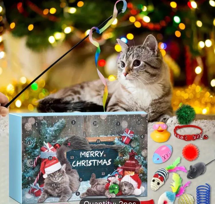 Best Christmas gifts for cats and kittens Bow Wow Meow Pet Insurance