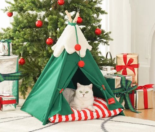 Best Christmas gifts for cats and kittens Bow Wow Meow Pet Insurance