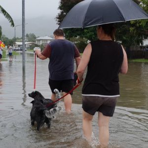 stock-photo-editorial-people-walking-through-flooded-streets-with-dog-townsville-australia-february