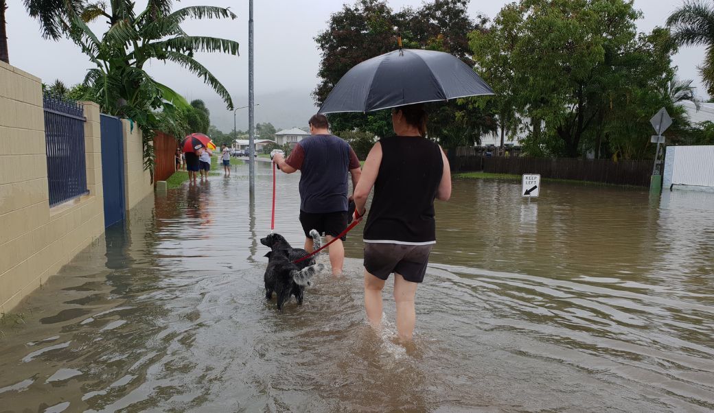 stock-photo-editorial-people-walking-through-flooded-streets-with-dog-townsville-australia-february