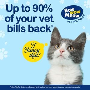 Up to 90% of your vet bills back with Bow Wow Meow Pet Insurance