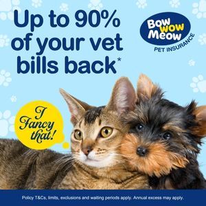 Up to 90% of your vet bills back with Bow Wow Meow Pet Insurance