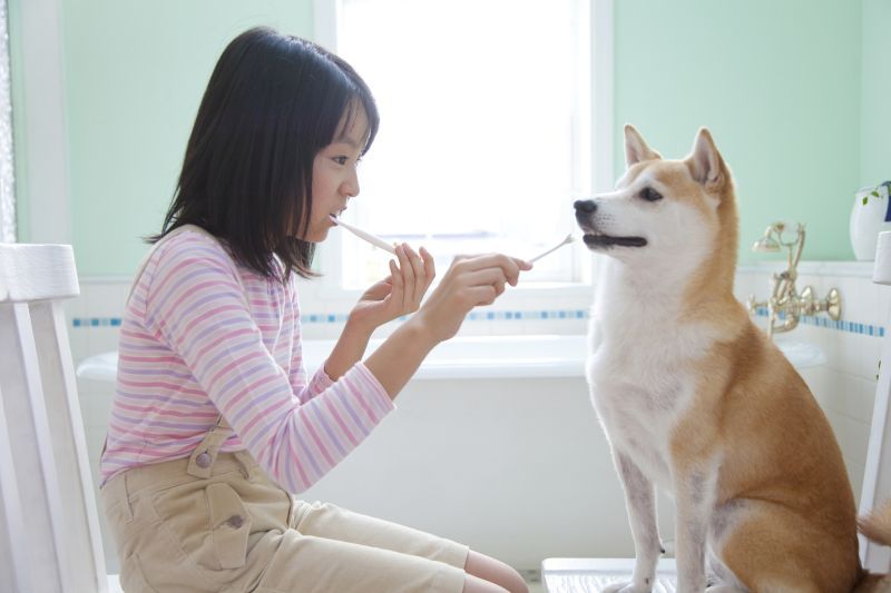 Girl brushing her teeth while brushing her Shiba Inu dog's teeth at the same time