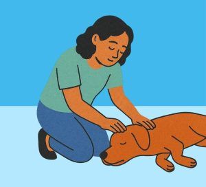 How to give CPR to your pet Bow Wow Meow Pet Insurance