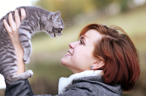 Why does my cat keep meowing? Bow Wow Meow Pet Insurance