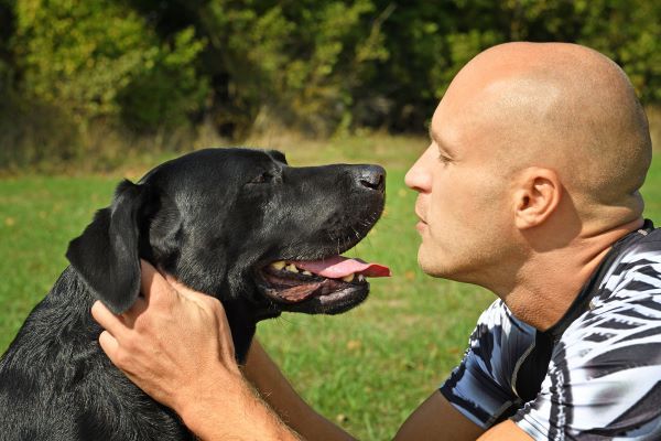 Canine care, dog behaviour, Bow Wow Meow Pet Insurance