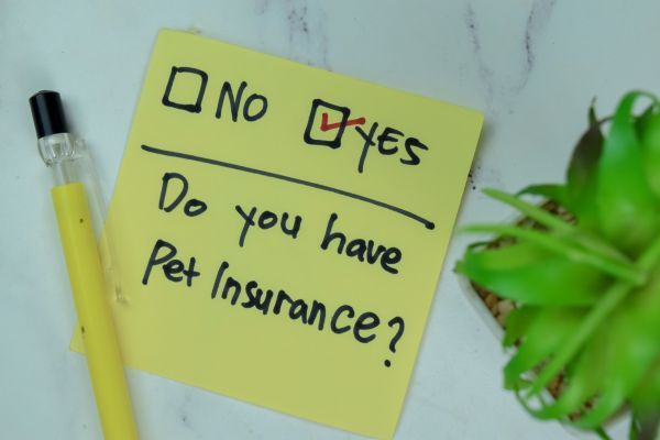 Pet Insurance Australia, Bow Wow Meow Pet Insurance