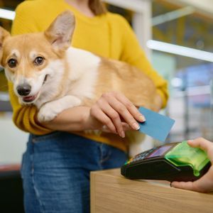 Pet Insurance Bow Wow Meow Pet Insurance