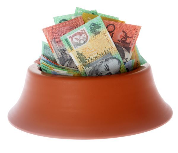 Pet Insurance Australia, Bow Wow Meow Pet Insurance