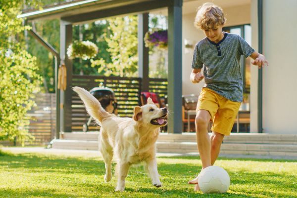 Dog behaviour, understanding dog communication Bow Wow Meow Pet Insurance