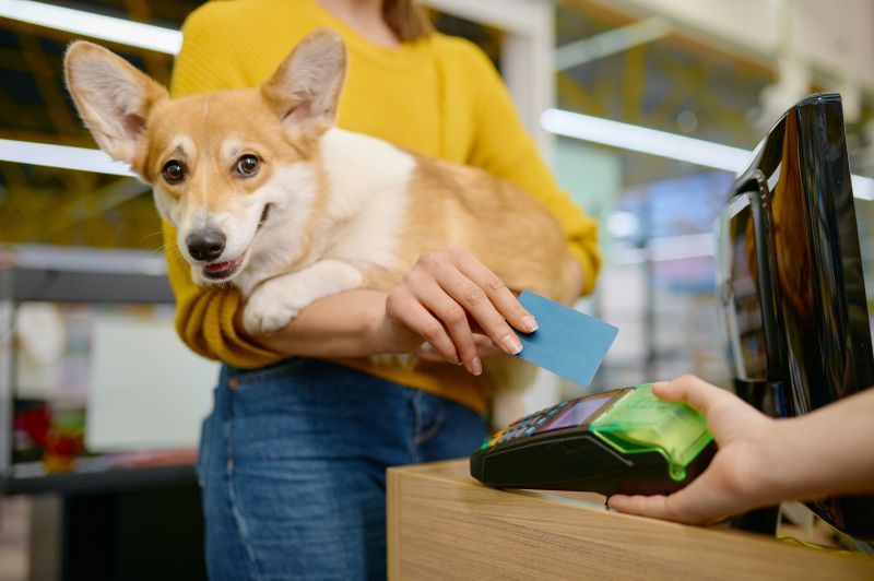 Closeup woman holding a corgi dog paying for purchase at pet shop using credit card