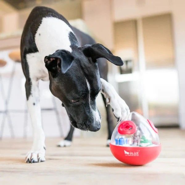 Holiday Wobble Ball interactive toy for dogs