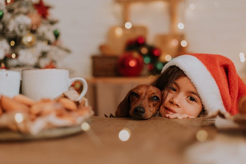 little girl in a Santa hat and a dwarf dachshund want to eat a plate of pastries and a Christmas cake
