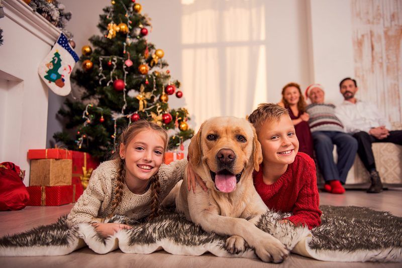 Happy children are lying on floor near Christmas tree and embracing dog