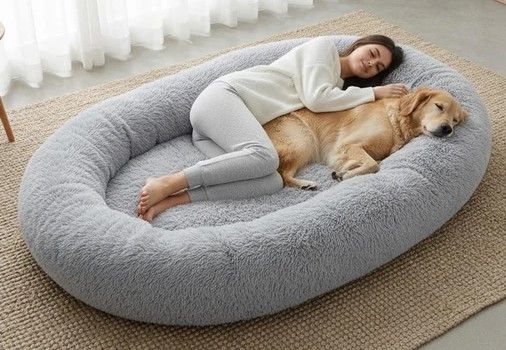 Dog bed for adult human to share with their dog