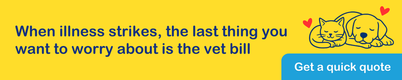 When illness strikes, the last thing you want to worry about is the vet bill