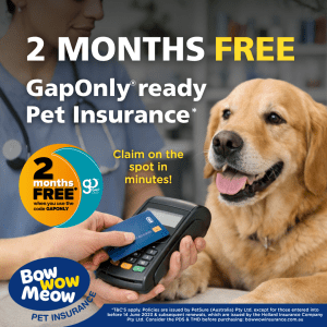 Get 2 months free with promo code GAPONLY