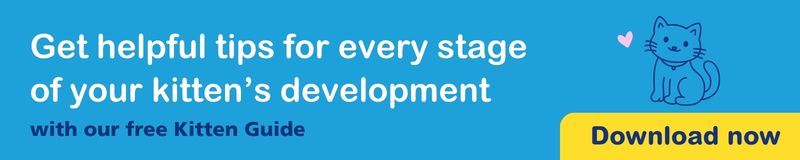 Get tips for every stage of your kitten's development with our free kitten guide. Download now