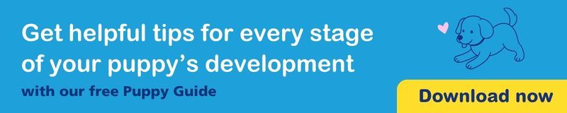 Get tips for every stage of your puppy's development. Download now